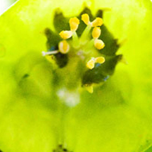 ip攻击器网页版